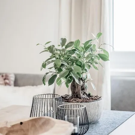 Lounge Apartament